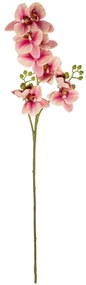 Τεχνητό Λουλούδι Orchid 21411 70cm Champagne-Pink GloboStar Πολυαιθυλένιο