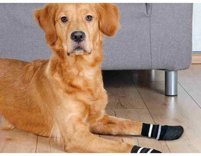 Κάλτσες Trixie Μαύρο M/L Σκύλος