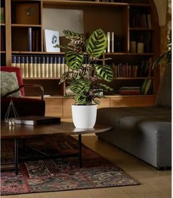 Βάζο Λουλουδιών EDA Opal Chape Λευκό Ø 29,5 cm