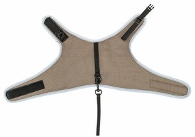 Λουρί Σκύλου Trixie Χρώμα Τεφρόχρουν