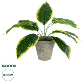 Artificial Garden YELLOW HOSTA PLANT 20899 Τεχνητό Διακοσμητικό Φυτό Κίτρινη Χόστα Φ45 x Υ40cm