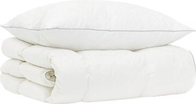 vidaXL Σετ πάπλωμα 90% χήνας FULDA 2 τμχ. 137 x 200 cm Χειμώνας Λευκό