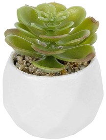 Τεχνητό Φυτό Σε Κασπώ Echeveria 20991 Φ6x8,5cm Green-White GloboStar Πηλός,Πολυαιθυλένιο