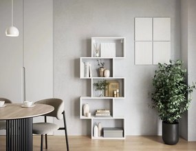 Βιβλιοθήκη Idaho-Leuko