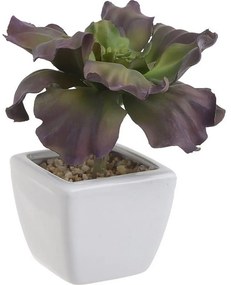 Διακοσμητικό Φυτό Σε Γλάστρα 3-85-084-0043 Green-Purple 7Χ7Χ16 Inart Πλαστικό