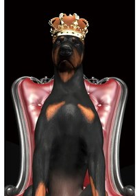 ΕΙΚΟΝΑ ΣΚΥΛΟΣ ΣΕ ΣΤΕΦΑΝΙ 80Χ120 DIOMMI DOGINCROWN80 DIOMMI-80-1758