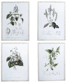 Artekko Botanical Καδράκια Τοίχου Λουλούδια Σετ/4 (50x3x70)cm