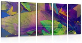 5 μέρη εικόνα χρωματιστά φύλλα - 100x50
