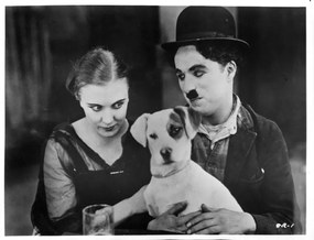 Φωτογραφία Charles Chaplin In 'A Dog's Life', Archive Photos