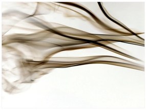 Φωτοταπετσαρία - smoke - abstract 350x270