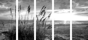 Εικόνα 5 μερών ενός ηλιοβασιλέματος στην παραλία σε ασπρόμαυρο - 100x50