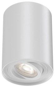 Φωτιστικό Σποτ Braytron BH04-00200 Λευκό (White)
