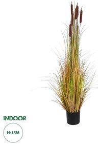 GloboStar® Artificial Garden TYPHA ANGUSTIFOLIA GRASS 20114 Τεχνητό Διακοσμητικό Φυτό Γρασίδι της Τύφας Υ150cm