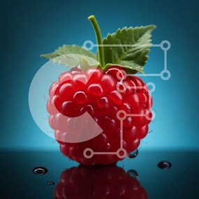 Σετ των 2 Intra Συλλεκτικό Ξύλινο Παζλ Plywood 4mm - Κόκκινο βατόμουρο σε μαύρο φόντο Σε Ξύλινο Κουτί - Διαστάσεις: 10x10 cm – 25 κομμάτια