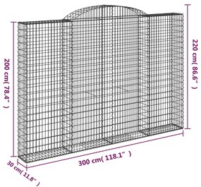 vidaXL Συρματοκιβώτια Τοξωτά 2 τεμ. 300x30x200/220 εκ. Γαλβαν. Ατσάλι