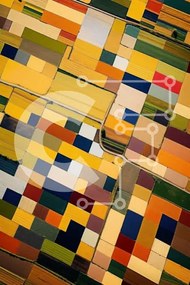 Intra Συλλεκτικό Ξύλινο Παζλ Plywood  4mm - Ζωντανή εναέρια εικόνα χωραφιών και καλλιεργειών Σε Ξύλινο Κουτί - Διαστάσεις Puzzle: 10x10 cm – 25 κομμάτια