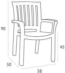 ΚΑΡΕΚΛΑ ΠΛΑΣΤΙΚΗ SKG MALIBU TEAK
