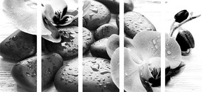 Εικόνα 5 μερών όμορφη αλληλεπίδραση πέτρες και ορχιδέες σε ασπρόμαυρο - 100x50
