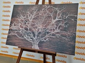 Εικόνα κορώνας δέντρου σε ξύλινο φόντο - 120x80