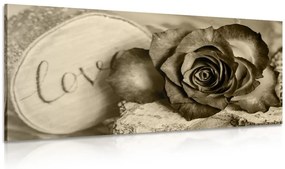 Εικόνα τριαντάφυλλο σε σέπια αγάπη - 100x50