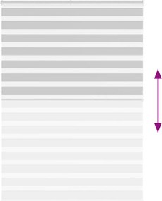 vidaXL Ζέβρα τυφλή Ανοιχτό Γκρι Πλάτος υφάσματος 160,9 εκ. Πολυεστέρας