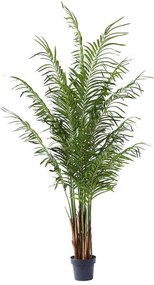 Τεχνητό Δέντρο Αρέκα 4860-6 80x80x210cm Green Supergreens Polyethylene