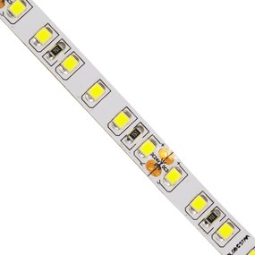 GloboStar® 70230 Ταινία LED SMD 2835 5m 8W/m 120LED/m 1280 lm/m 120° DC 24V IP20 Ψυχρό Λευκό 6000K - 5 Χρόνια Εγγύηση