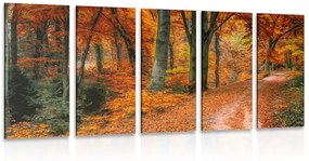 Δάσος εικόνας 5 μερών το φθινόπωρο - 100x50