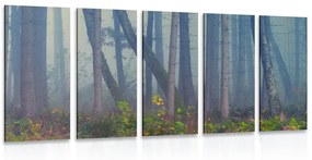 Εικόνα 5 τμημάτων μυστηριώδες δάσος - 200x100