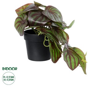 GloboStar® Artificial Garden BROWN PEPEROMIA PLANT 20952 Διακοσμητικό Φυτό Καφέ Πεπερόμια Φ23 x Υ16cm