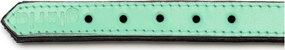 Κολλάρο Σκύλου Gloria Γεμισμένο Πράσινο (50 x 2,5 cm)
