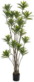 Διακοσμητικό Φυτό Bamboo Πράσινο 180εκ. iliadis 85117