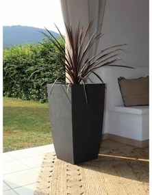 Βάζο Λουλουδιών EDA