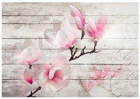 Φωτοταπετσαρία - Gentleness of the Magnolia 300x210