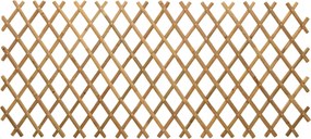vidaXL Επεκτάσιμο πλέγμα φράχτη 2 τμχ. 100 x 105 εκ. Μπαμπού