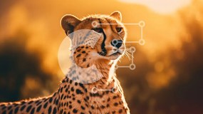 Intra Συλλεκτικό Ξύλινο Παζλ Plywood  4mm - Εκπληκτικό τσιτάχ στην ερημιά στο ηλιοβασίλεμα Σε Ξύλινο Κουτί - Διαστάσεις: 10x10 cm – 25 κομμάτια