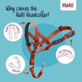 Ρύγχος Company of Animals BURNT Πορτοκαλί 2