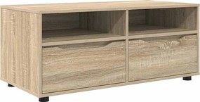 vidaXL Ντουλάπι TV Δρύς Sonoma 100 x 48 x 43 εκ. Επεξεργασμένο ξύλο
