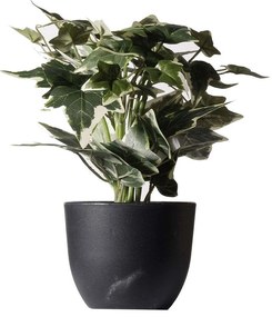 Τεχνητό Φυτό Κισσός Πανασέ 8060-6 17x21x30cm Green Supergreens Polyethylene
