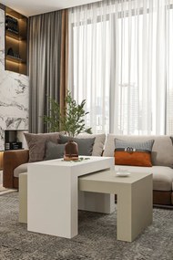 Stewehome Σετ 2 μοντέρνα τραπεζάκια σαλονιού από σαντουλάμ 50x90 cm