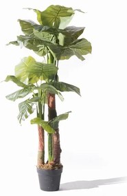 Supergreens Τεχνητό Δέντρο Αλοκάσια Elephant Ears Πράσινο 135 εκ
