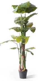 Supergreens Τεχνητό Δέντρο Αλοκάσια Elephant Ears Πράσινο 170 εκ.