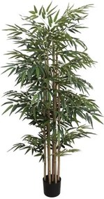 New plan BAMBOO NP824_153 ΥΨΟΣ 153cm Τεμαχιο