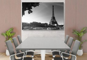 Εικόνα του φθινοπωρινού Παρισιού σε ασπρόμαυρο - 60x40