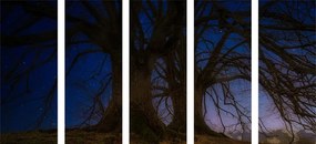 5 μέρη εικόνα δάσους στο νυχτερινό τοπίο - 200x100