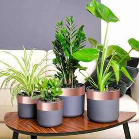 vidaXL Χαλκοταινία Χάλκινο 2000 x 7 εκ Χάλκινο