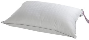 Βρεφικό Μαξιλάρι Μέτριο (35x50) Vesta Quallofil Air Allerban Polyester