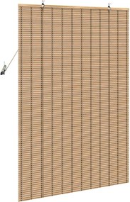 vidaXL Ρόλερ (στόρι) Φύση 100 x 160 cm Μπαμπού