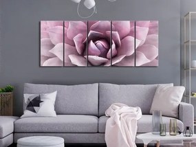 Πίνακας - Agave (5 Parts) Narrow Pink - 225x90