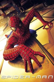 Εικονογράφηση Spider-Man (2002)